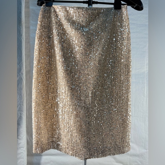 Elegant Gold Sequin Skirt - Picture 1 of 5